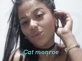 Cat_monroe