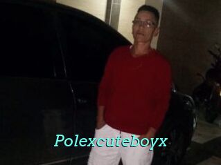 Polexcuteboyx