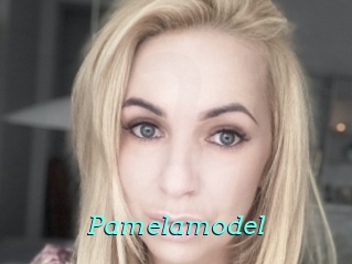 Pamelamodel